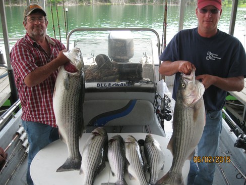 Nice Striped Bass
